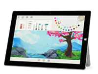 盐源Surface 无法开启、Windows 无法启动或电池无法充电